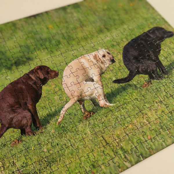 Fluffy Friends Dogs Pooping Puzzle