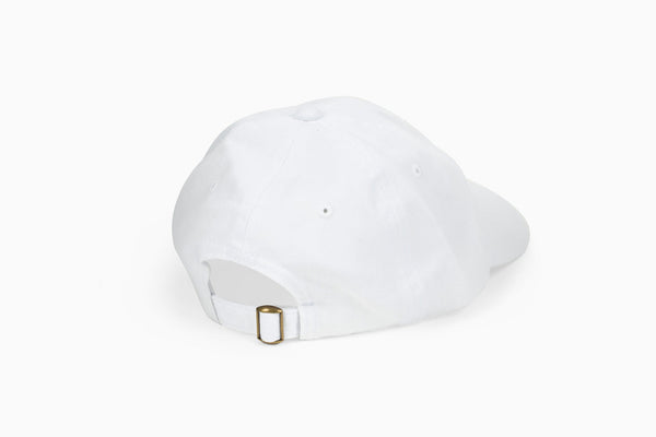 Pay Me In Bitcoin Hat - Shitheadsteve