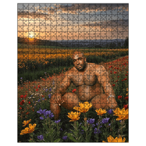 Barry Field Prank Puzzle - Shitheadsteve