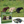 Fluffy Friends Dogs Pooping Puzzle